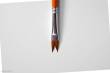 AK-Interactive AK587 - Whale Tail/Ribbon Weathering Brush