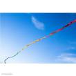 HQ 126428 - Fuzzy Tail 20 m (Fransenschwanz)