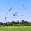 Invento 126446 - Tube Tail Rainbow Spiral 24 m