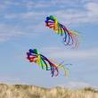 HQ 126454 - Soft Swirl Rainbow 600 - Drachenschwanz , 6mx86cm, 8 Farben