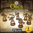 PWork Wargames RPGT0250MDF - RPG TOKENS Orcs