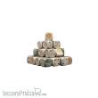 Baron of Dice CHAOS-GEN-07-RD - Chaos Demon White Golden Dice