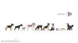 Noch 12852 - Hunde