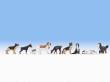 Noch 12852 - Hunde
