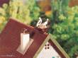 Faller 130280 - Haus mit Storchennest