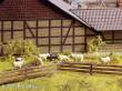 Noch 13040 - Weidezaun