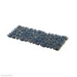 Gamers Grass GGFS-BLU - Bluebeard Flowers