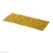 Gamers Grass GGFS-DAN - Dandelion Tiny Flowers