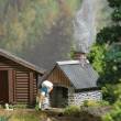Busch 1384 - Backhaus