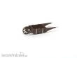 Halling M-261-FM - Schiebetruhe, Holz, Fertigmodell
