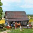 Busch 1403 - Reiterhof: Stallung