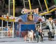 Faller 140470 - Riesenrad Jupiter