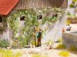 Noch 14132 - Wilder Wein