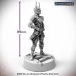 Archon Studio PSF0011 - Miniatures: LASHUNTA ENVOY