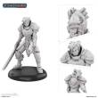 Archon Studio PSF0056 - Miniatures: KNIGHT OF GOLARION