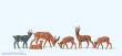 Preiser 14178 - HO Rehe und Gemsen