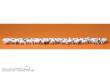 Preiser 14411 - HO Schafherde 60 St.