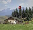 Busch 1443 - Almhütte (Heidialp)