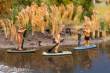 Faller 151736 - Stand-Up-Paddler