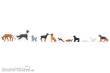Faller 151902 - Hunde und Katzen