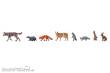 Faller 151915 - Tiere im Wald