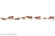 Faller 151922 - Allgäuer Braunvieh