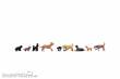 Noch 15719 - Hunde