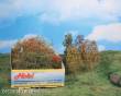 Heki 1673 - Blätterbäume u. Büsche, 15 Stück herbstlich