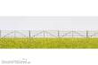 Preiser 17604 - H0 Schafpferch