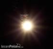 Faller 180653 - 5 LEDs, warm weiß