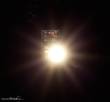Faller 180653 - 5 LEDs, warm weiß