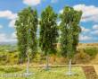 Faller 181411 - 3 Buchen