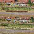 Heki 1815 - 10 Grasstreifen weiß-erika, 100 mm lang, 6 mm hoch