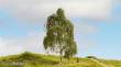 Noch 20120 - NOCH Master-Baum Hängebirke
