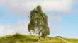 Noch 20120 - NOCH Master-Baum Hängebirke