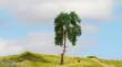 Noch 20140 - NOCH Master-Baum Kiefer