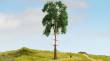 Noch 20141 - NOCH Master-Baum Kiefer
