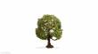 Noch 20145 - NOCH Master-Baum Apfelbaum