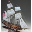COREL 20161 - Eagle Baukasten