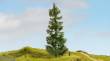 Noch 20190 - NOCH Master-Baum Fichte