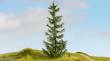 Noch 20191 - NOCH Master-Baum Fichte