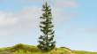 Noch 20192 - NOCH Master-Baum Fichte