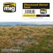 AMMO by MIG Jimenez A.MIG-8352 - Pinewood Forest Base