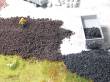 Juweela 21255 - 1:120/160 Braunkohle lose, 25g