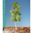 Silhouette 215-51 - Espe Frühling TT/H0 17-22cm