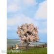 Noch 21570 - Obstbaum, blühend