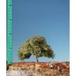 Silhouette 226-03 - Apfelbaum Frühherbst N/Z/H0 ca 8cm 2 Stück