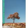 Silhouette 226-14 - Apfelbaum Spätherbst TT/H0 ca.10-13cm