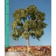 Silhouette 233-33 - Platane Frühherbst TT/H0 ca 20-29cm