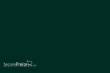 Weinert 2411 - Molak 13-Dark Green, glänzend,13G (18 ml)